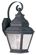 Livex Lighting 2601-61 - 1 Light Charcoal Outdoor Wall Lantern