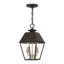 Livex Lighting 27217-07 - 2 Light Bronze with Antique Brass Finish Cluster Outdoor Medium Pendant Lantern