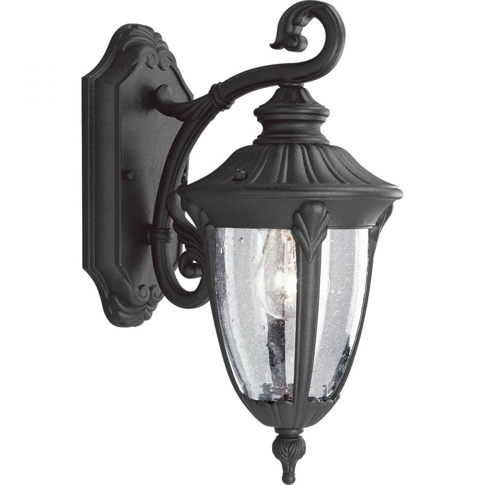 Meridian Collection One-Light Small Wall Lantern