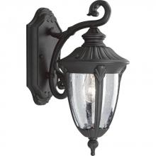 Progress P5820-31 - Meridian Collection One-Light Small Wall Lantern