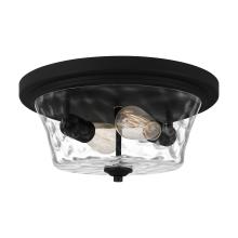 Quoizel ACA1614MBK - Acacia Flush Mount