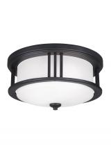 Generation Lighting 7847902-12 - Crowell contemporary 2-light outdoor exterior ceiling flush mount in black finish with satin etched