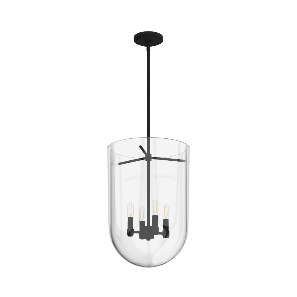 Hunter Sacha Natural Black Iron with Clear Glass 4 Light Pendant Ceiling Light Fixture