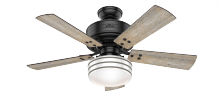 Hunter 54149 - Hunter 44 inch Cedar Key Matte Black Damp Rated Ceiling Fan with LED Light Kit and Handheld Remote