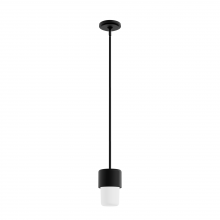Hunter 19277 - Hunter Station Natural Black Iron with Frosted Cased White Glass 1 Light Pendant Ceiling Light Fixtu