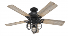 Hunter 50409 - Hunter 52 inch Starklake Natural Black Iron Damp Rated Ceiling Fan with LED Light Kit and Pull Chain