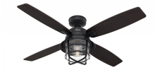 Hunter 50391 - Hunter 52 inch Port Royale Natural Black Iron Damp Rated Ceiling Fan with LED Light Kit and Handheld