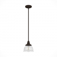Hunter 19230 - Hunter Cypress Grove Onyx Bengal with Clear Holophane Glass 1 Light Pendant Ceiling Light Fixture