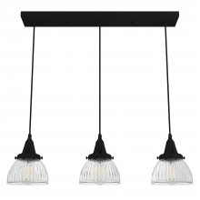 Hunter 19141 - Hunter Cypress Grove Natural Black Iron with Clear Holophane Glass 3 Light Pendant Cluster Ceiling L