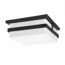 Troy C4812-FRN - 2 LIGHT EXTERIOR FLUSH MOUNT