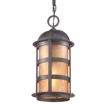Troy F9255NB - ASPEN 1LT HANGING LANTERN LARGE