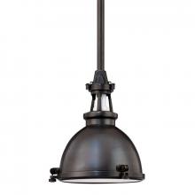 Hudson Valley 4610-OB - 1 LIGHT PENDANT