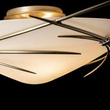 Hubbardton Forge 121620-SKT-05-GG0722 - Wisp Semi-Flush