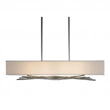 Hubbardton Forge 137660-SKT-STND-05-SF4298 - Brindille Pendant