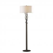 Hubbardton Forge 237660-SKT-05-SB1899 - Brindille Floor Lamp