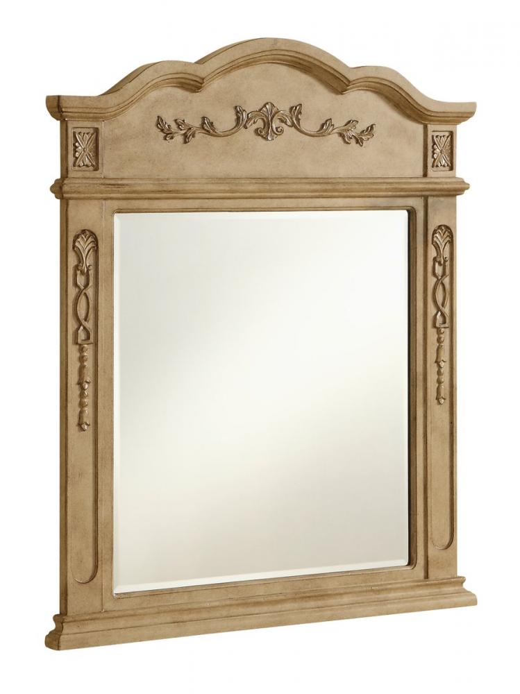 Danville 32 In. Traditional Mirror in Antique Beige