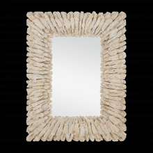 Currey 1000-0150 - Beachhead Whitewash Rectangular Mirror