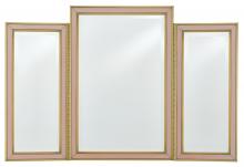 Currey 1000-0024 - Arden Pink Vanity Mirror