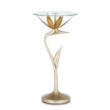 Currey 4000-0147 - Paradiso Accent Table