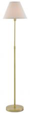 Currey 8000-0011 - Dain Brass Floor Lamp